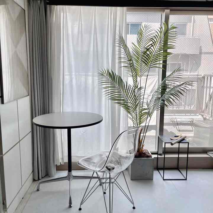 モノトーンのダイニング、透明な椅子とラウンドテーブル、観葉植物が配置されたシンプルな空間