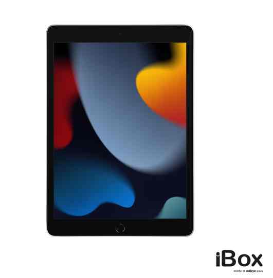 Apple iPad (Gen 9) 10,2 inci, Wi-Fi 64GB, Silver