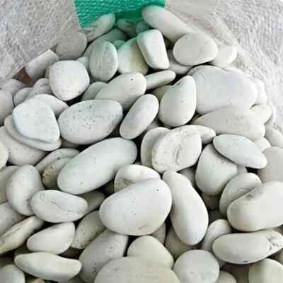 Batu coral putih hias