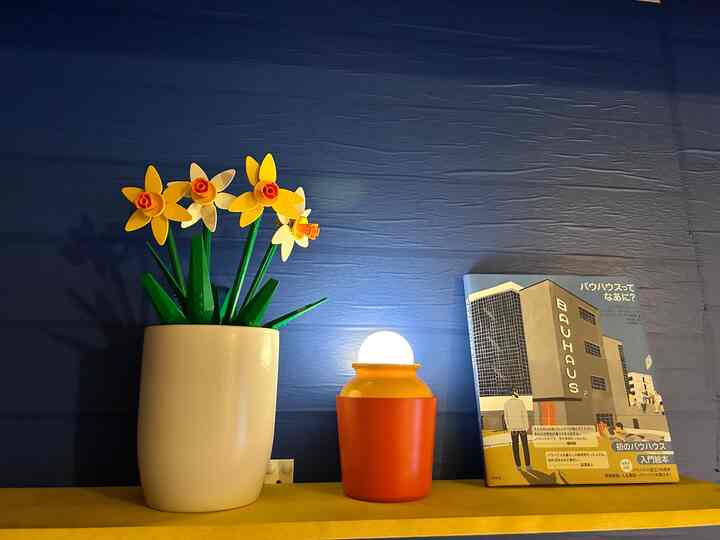 2023.9.6

カラフルな背景にレゴの🌼はやっぱり映えるねっ

この辺りの空間もっと良くしていきたいけどアイデアが生まれぬ...


#LEGO #bauhaus #花瓶 