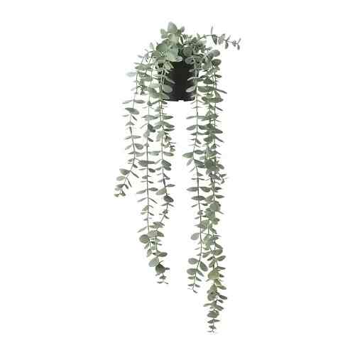 Tanaman tiruan dalam pot, dalam/luar ruang digantung/eucalyptus, 9 cm