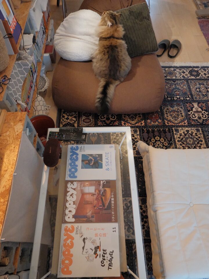 short form carousel card thumbnail