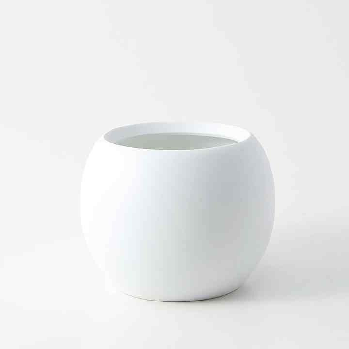 アクアポット４号用植物苗