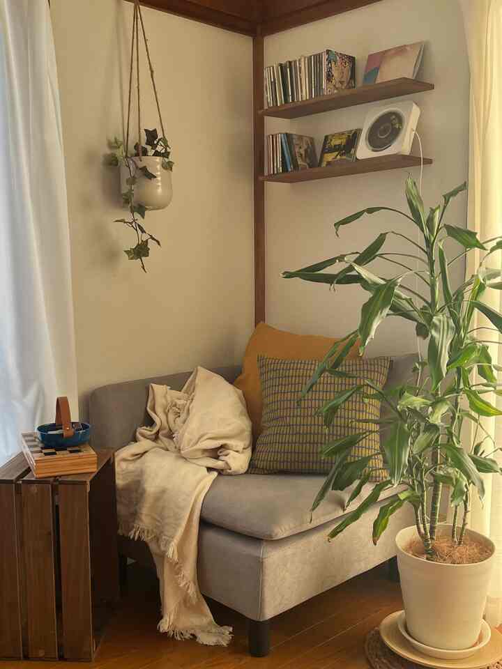 Natural color and wood tone cozy living room featuring gray sofa, plant, blanket, and cushions