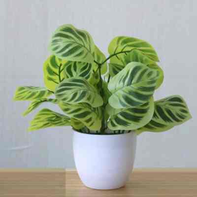 Tanaman Monstera Plastik