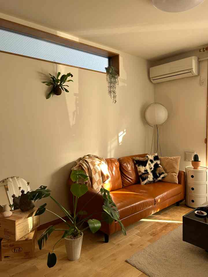 Warm beige and brown toned living room featuring a mid-century modern leather sofa and green plants in a cozy setting