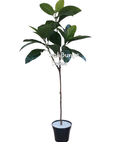 Daun Kamboja Artificial