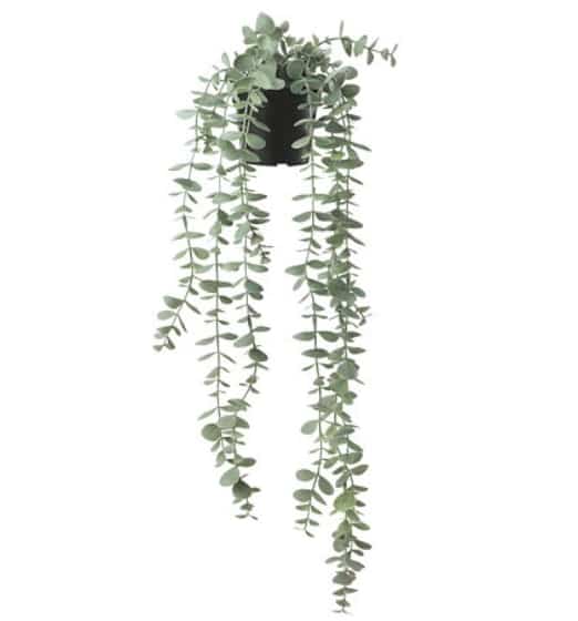 FEJKA Tanaman tiruan gantung dalam pot eucalyptus