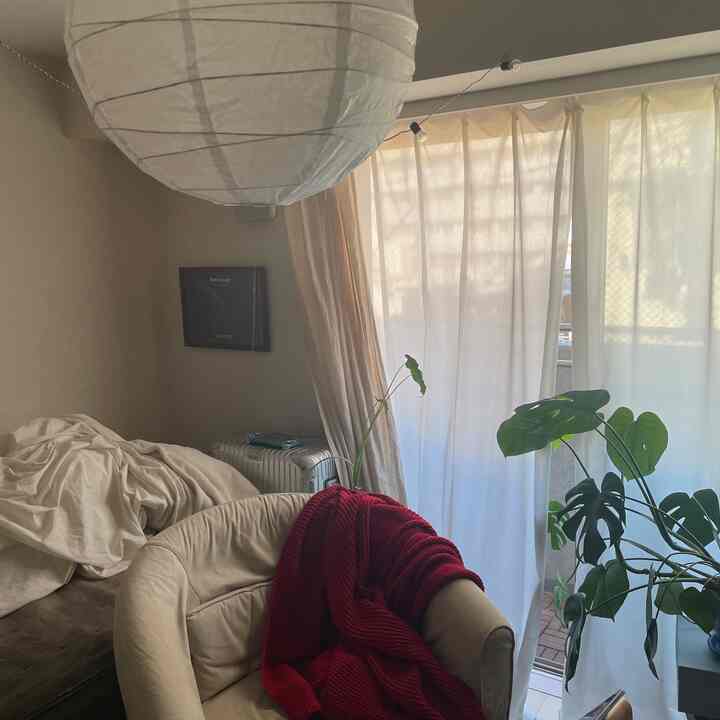 ベージュとホワイトの色調のリビング、アームチェアとカーテン、植物が配置された落ち着いた雰囲気のインテリア