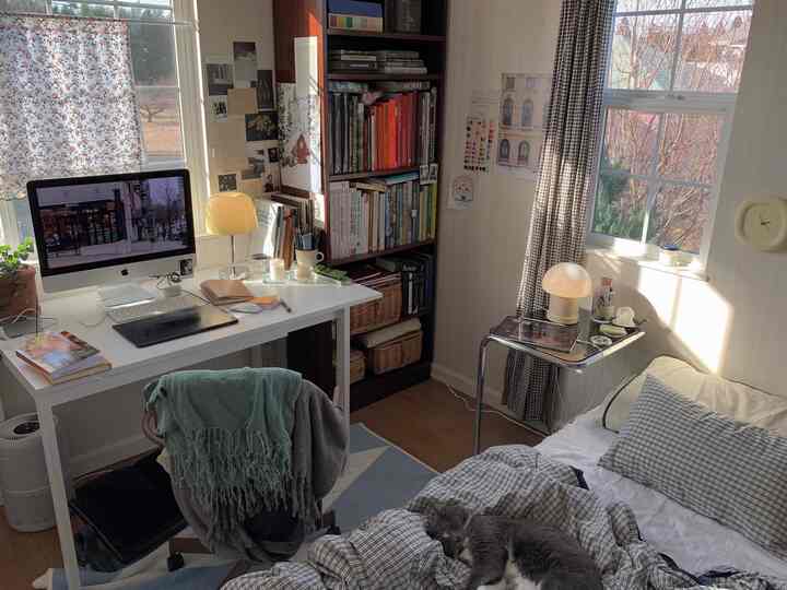 White and brown toned bedroom and home office featuring desk, bed, and a cat with cozy atmosphere