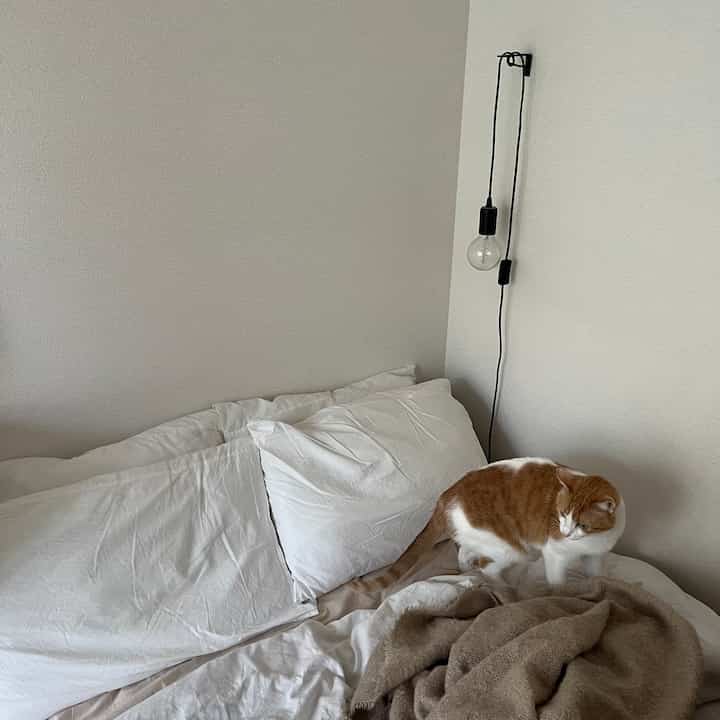 Favorite KEYUCA blanket

#Bed #無印良品 #ブランケット #keyuca #ホワイトインテリア #ナチュラルインテリア #海外インテリア #和風インテリア #シンプルインテリア {8 #Living alone} #一人暮らしインテリア #ワンルーム #ワンルームインテリア #interior #room #home