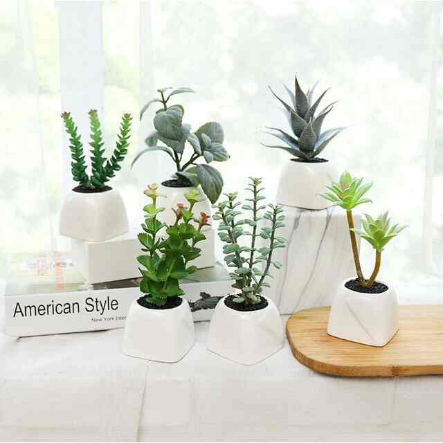 Tanaman palsu / hiasan