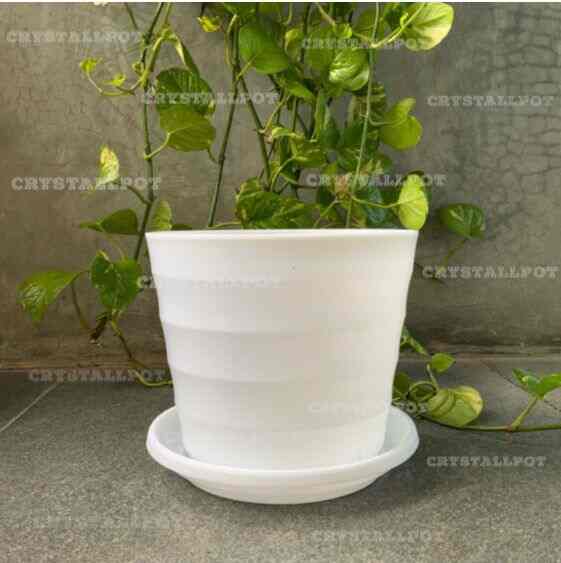 pot tanaman putih