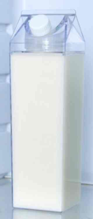 Fridge Bottle 1 Liter