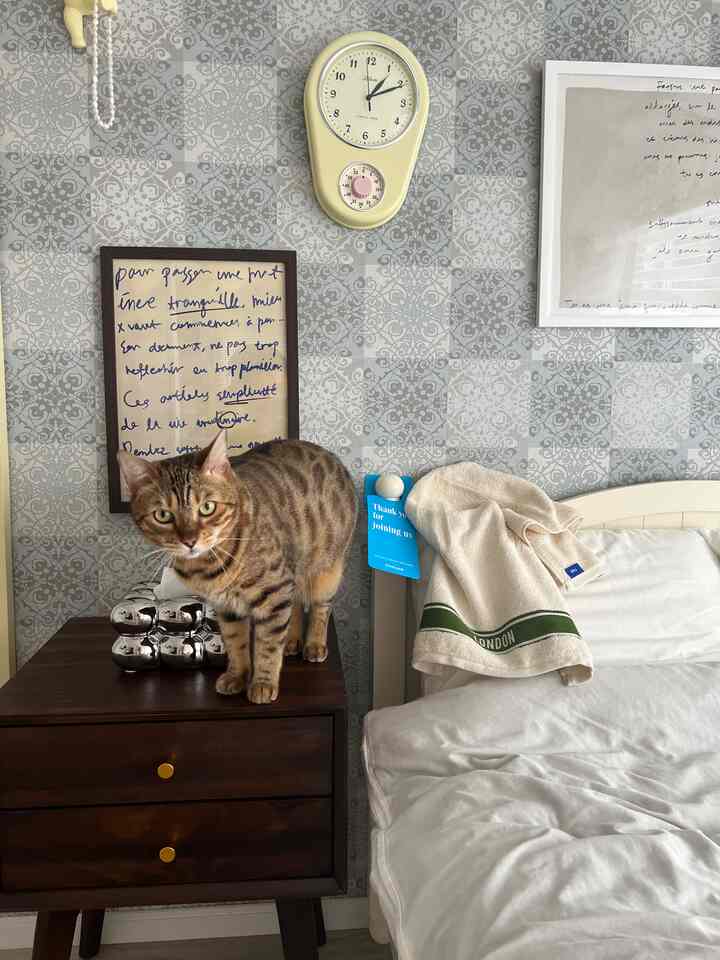 ブラウンのナイトテーブルの上に猫がいる、ホワイトの寝室、落ち着いた雰囲気のインテリア