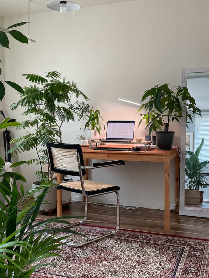 試しに「植物に囲まれたワークスペース」を作ってみた時の。配線など色々検討せねば。
#賃貸diy #賃貸インテリア #ワークスペース #ラタンチェア #植物のある暮らし