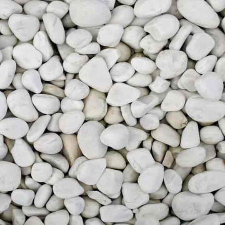 Batu Koral- Putih/ kg