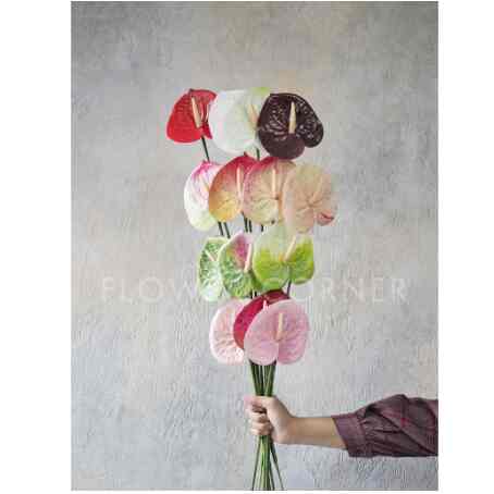 Bunga Artificial Anthurium Semi Latex