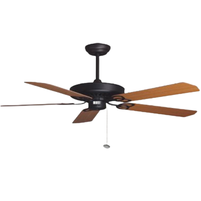 Ceiling fan