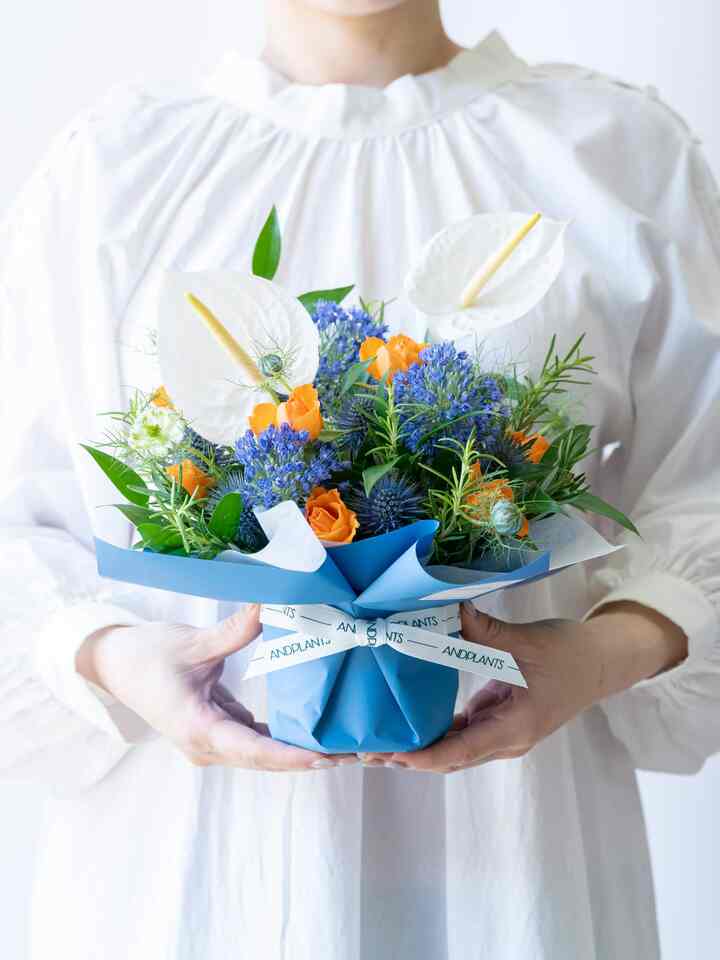 アンスリウムの爽やかなアレンジメント