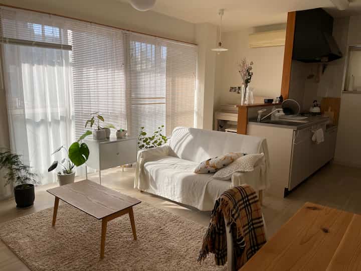 Bright white and wood tone small living room featuring white sofa, blinds, and plants in a natural setting