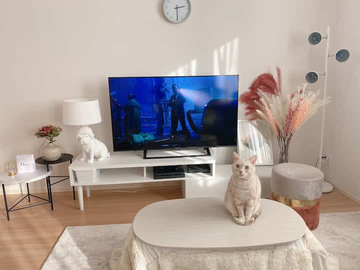 白とベージュの色調が特徴のリビング、中央にはテーブルの上に座る猫とテレビがあり、温かみのある雰囲気のあるインテリア