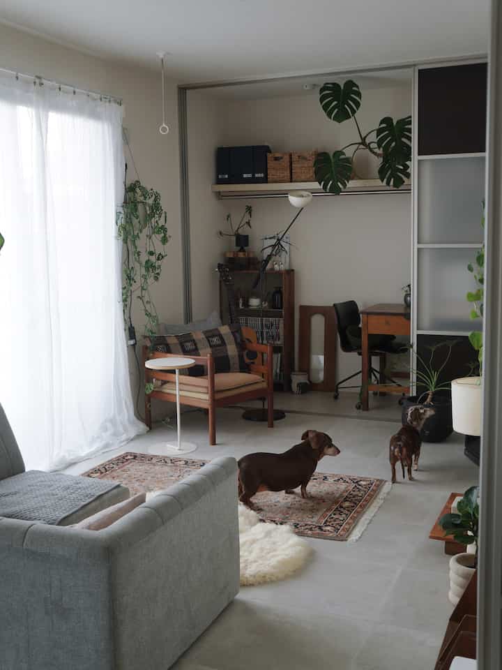 明るいグレーとナチュラルウッド調のリビング、ソファとアームチェア、植物が配置された落ち着いた雰囲気のインテリア