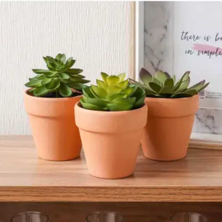Tanaman Artifisial Sukulen Set 3 Pcs Y27