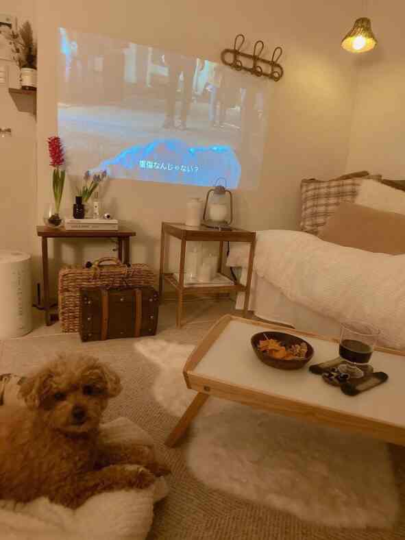Natural color toned living room featuring a dog and a tray table with cozy, warm atmosphere