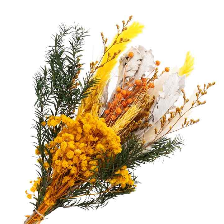 Sladko Bunga Kering Bunga Kuning Hijau