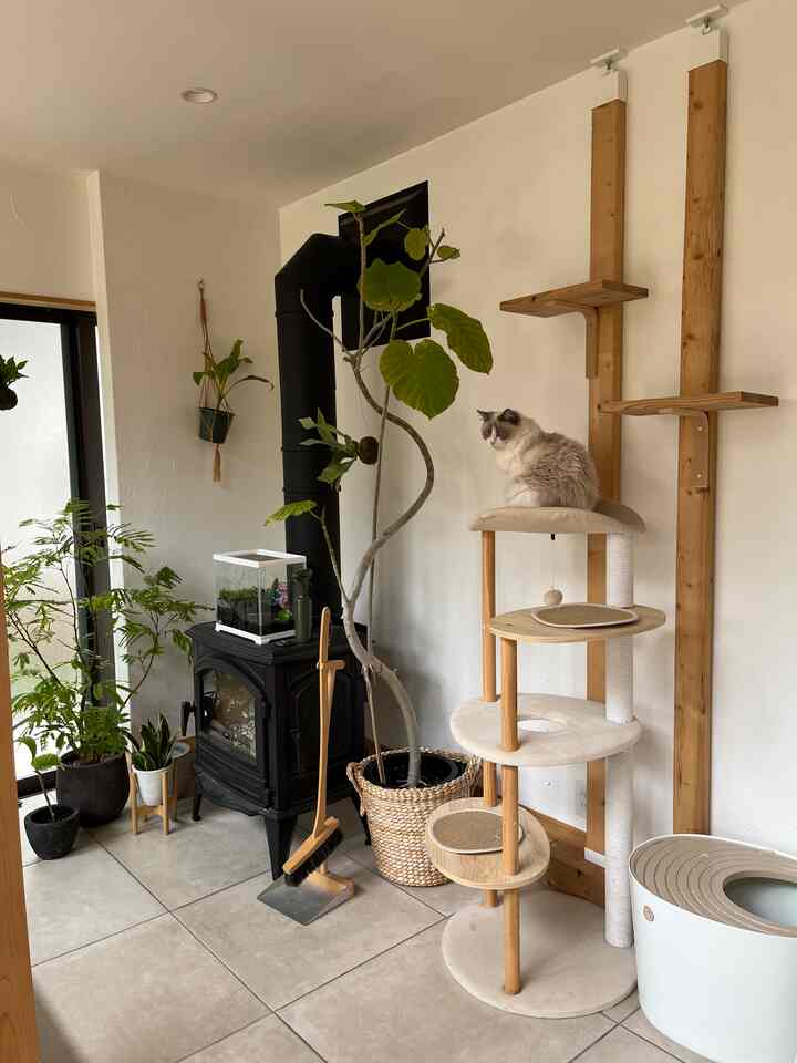 白い壁と黒い暖炉、木目調のキャットタワーと様々な観葉植物が配置されたペットと暮らすナチュラルスタイルのリビング