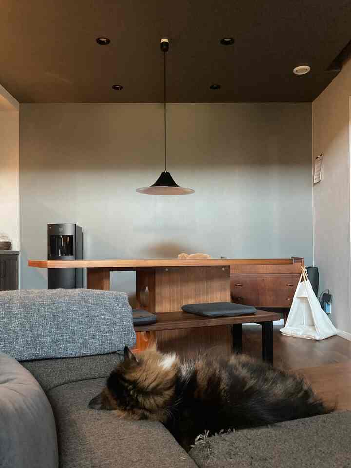 グレーのソファでくつろぐ猫がいる木目調のダイニングルーム、モダンな照明のある空間
