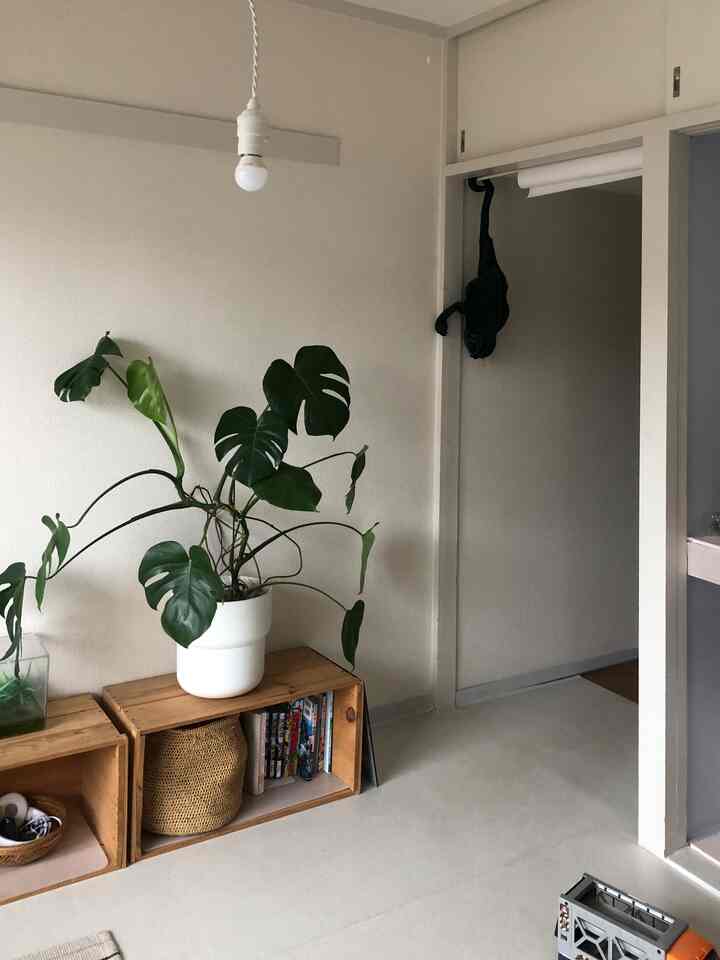 ナチュラルな色調の子供部屋、木目調の家具と大きな観葉植物が配置された雰囲気のある空間