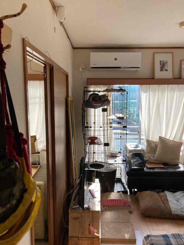 Natural-colored living room featuring multiple cat products and a cage creating a cozy atmosphere