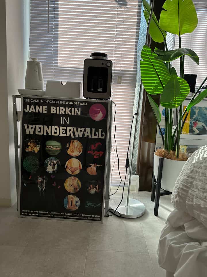 White and silver toned bedroom featuring window blinds, floor lamp, and a large green plant creating a cozy atmosphere