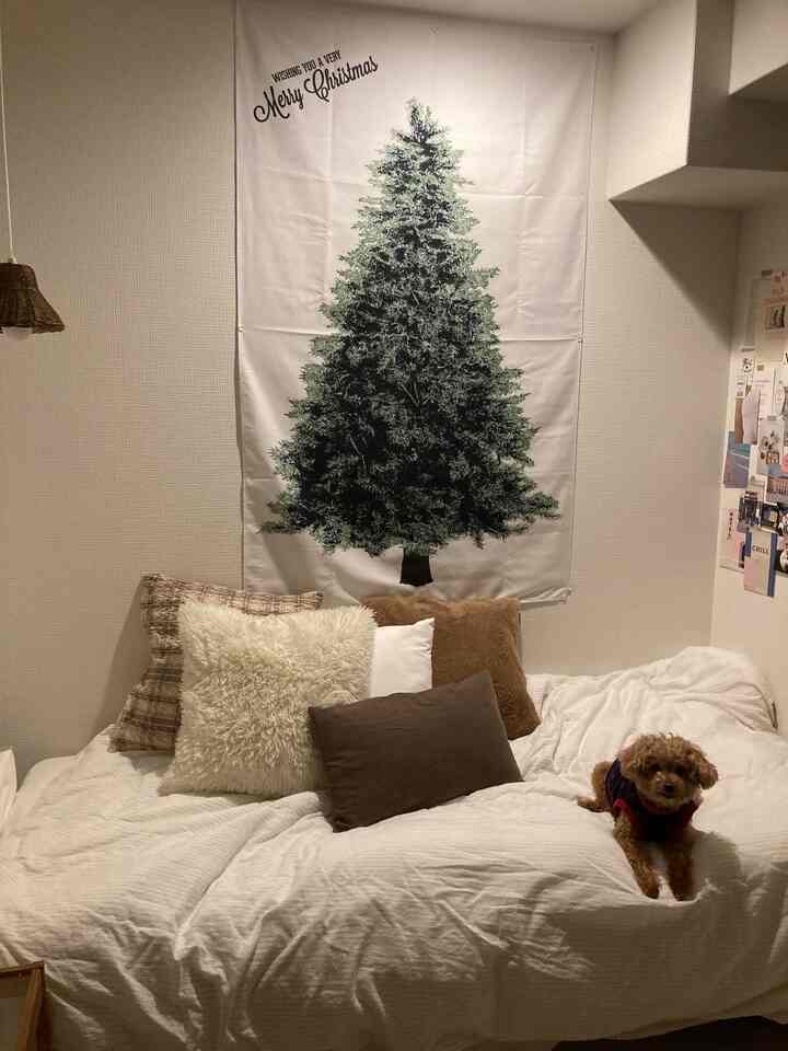 Beige-toned bedroom with assorted brown and beige cushions and a small dog creating a cozy atmosphere