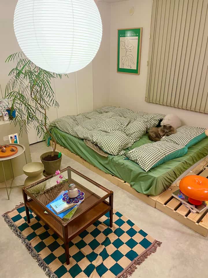 Green and beige toned bedroom featuring wooden bed, checkered bedding, a cat, and a potted plant in a cozy room