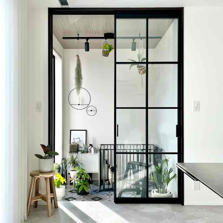 Natural modern small plant and pet room with white walls, wood tone ceiling, transparent glass sliding door, and pet house