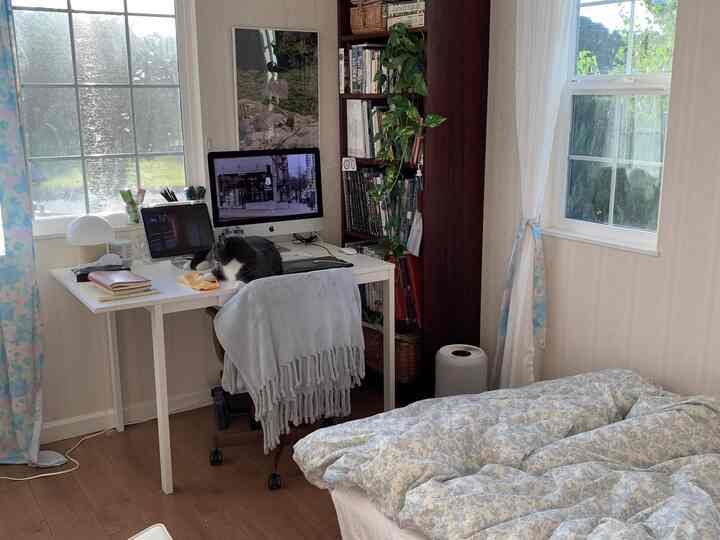 A cozy white and wood tone bedroom home office featuring a desk with a cat and blue bedspread