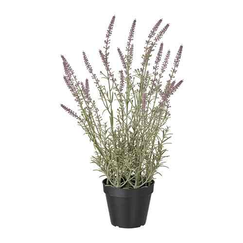 FEJKA Tanaman tiruan dalam pot, dalam/luar ruang/lavender ungu, 12 cm