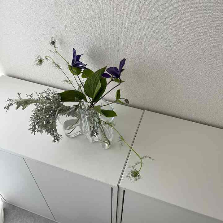 お花屋さんのお友達にアアルトベースを飾ってもらった𓆸

#アルヴァアアルト #アアルト #ittala #花瓶 #フラワーベース #eket #収納 #ikea #ホワイトインテリア #ナチュラルインテリア #海外インテリア #和風インテリア #シンプルインテリア #一人暮らし #一人暮らしインテリア  #ワンルーム #ワンルームインテリア #interior #room #home