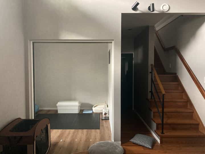 Natural wood-toned small cat room with light gray walls adjoining wooden staircase in residential space