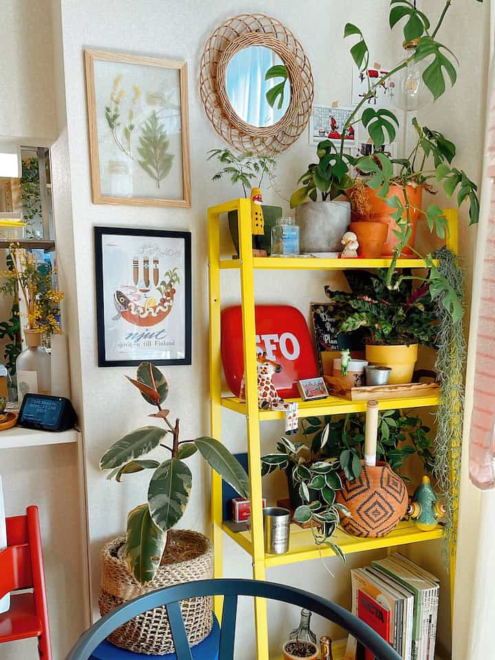A cozy dining room in bright yellow tones, featuring a yellow metal shelf and various plants creating a natural ambiance