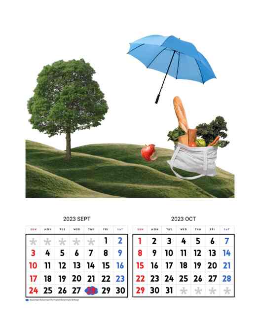 Wall Calendar 2023 