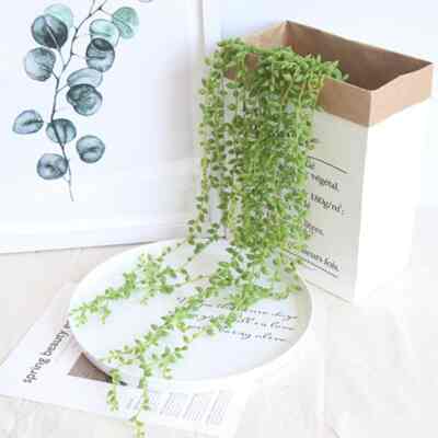 Daun Juntai Tears of Love