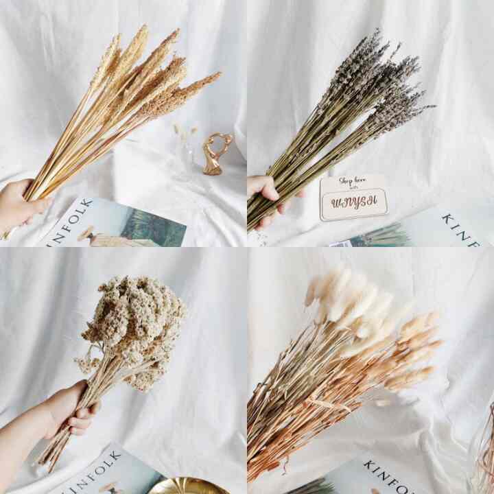 Dried Flower Bunga Kering