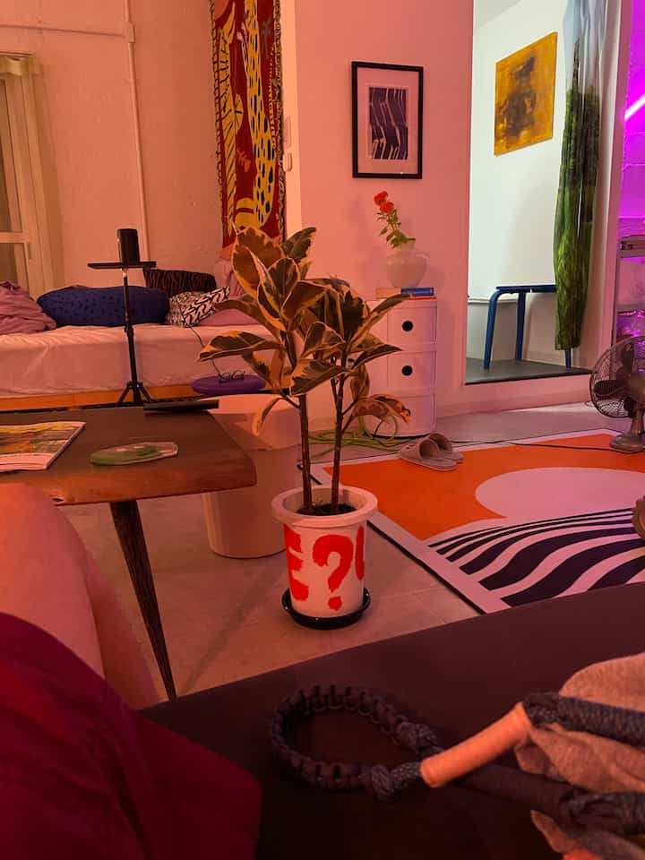 Studio apartment living room with white background and orange accents, featuring a central potted plant and coffee table in a simple, natural setting