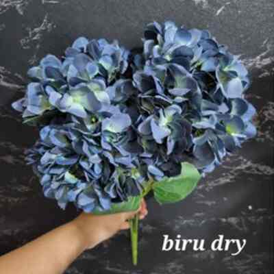 bunga hias hortensia