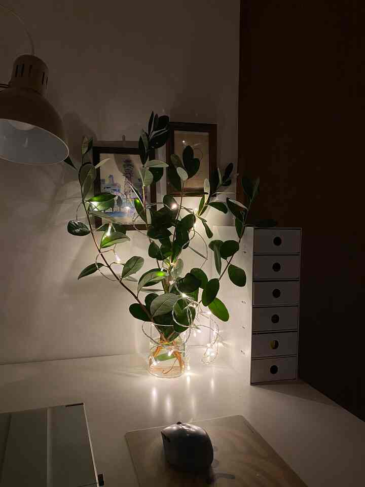 暗めのトーンの小さな部屋、白いデスクに葉が多い植物とストリングライトが配置された雰囲気のある空間