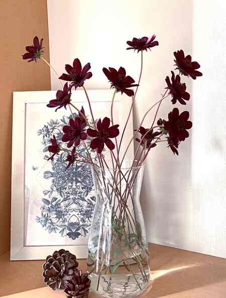 KARAFF kaca bening 1 liter